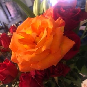 Meet your Posher, Gena